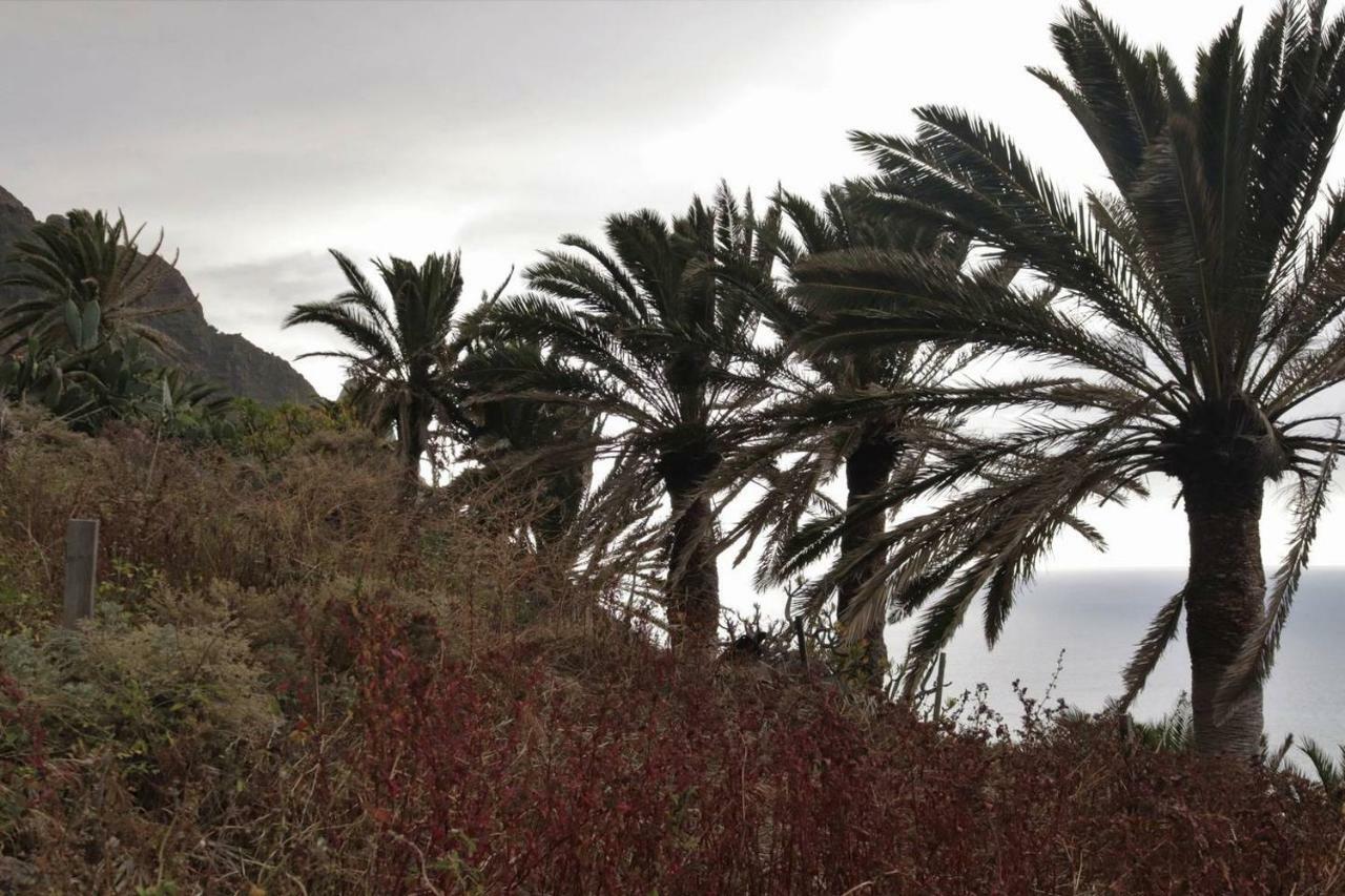 Oasis Atlantico: Rincon Secreto Al Pie De Los Senderos Azano Dış mekan fotoğraf
