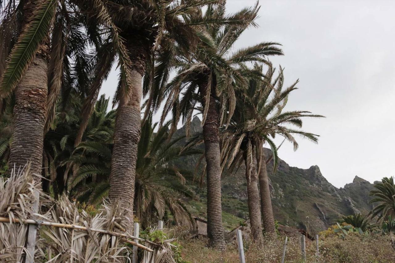 Oasis Atlantico: Rincon Secreto Al Pie De Los Senderos Azano Dış mekan fotoğraf